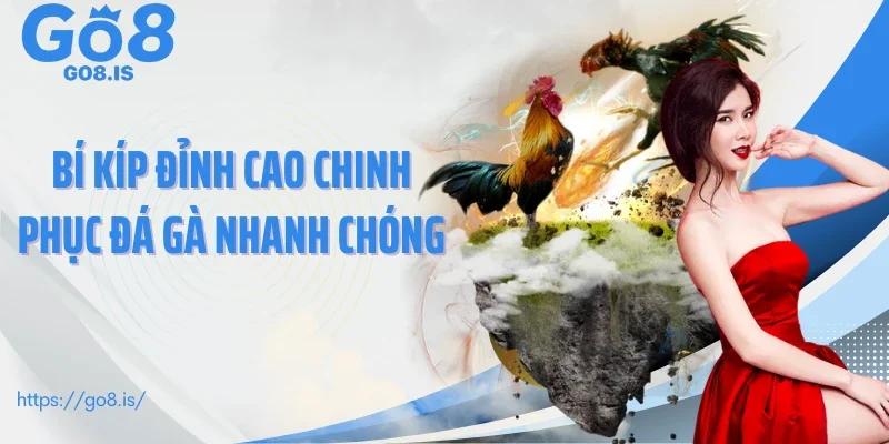 Bí kíp đỉnh cao chinh phục đá gà nhanh chóng 