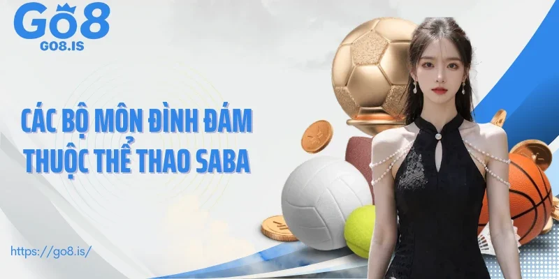 Các bộ môn đình đám thuộc thể thao SABA