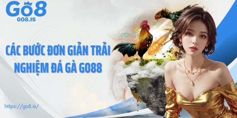 Các bước đơn giản trải nghiệm đá gà GO8