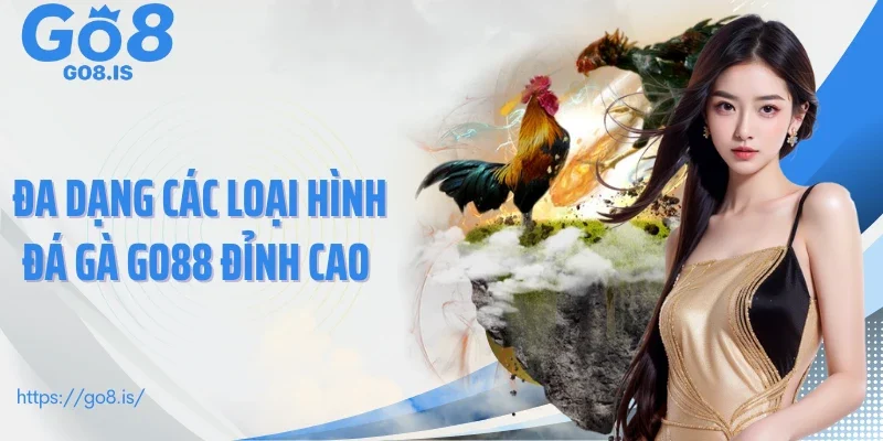 Đa dạng các loại hình đá gà GO8 đỉnh cao 