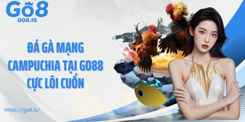 Đá gà mạng Campuchia tại GO88 cực lôi cuốn