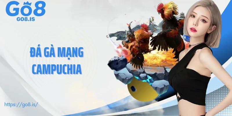 đá gà mạng Campuchia