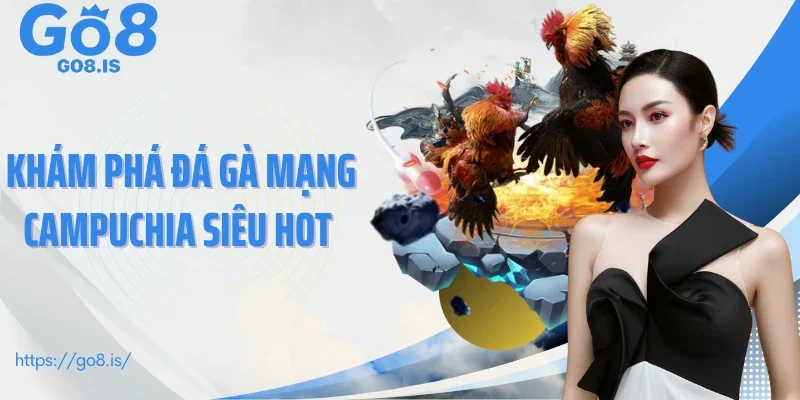 Khám phá đá gà mạng Campuchia siêu hot 