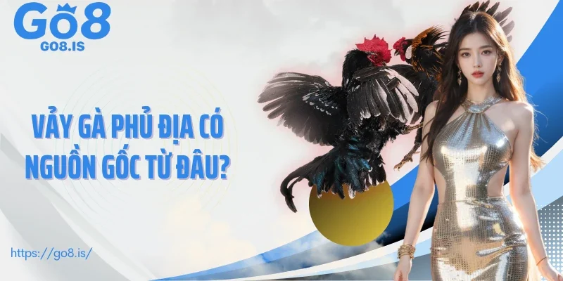 Vảy gà phủ địa có nguồn gốc từ đâu?